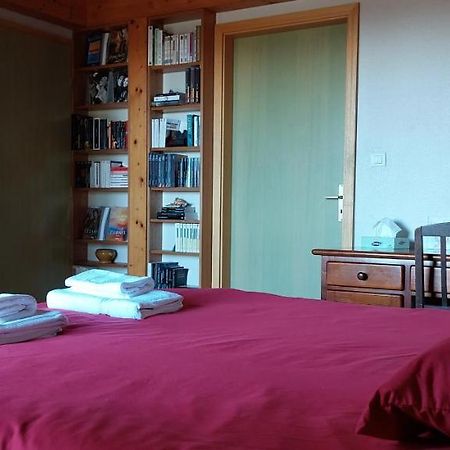 La Canopee Alsacienne - Magnifique Maison A Ribeauville Ngoại thất bức ảnh
