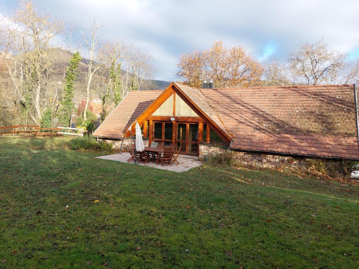La Canopee Alsacienne - Magnifique Maison A Ribeauville Ngoại thất bức ảnh