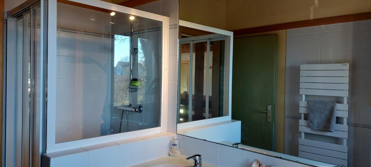 La Canopee Alsacienne - Magnifique Maison A Ribeauville Ngoại thất bức ảnh