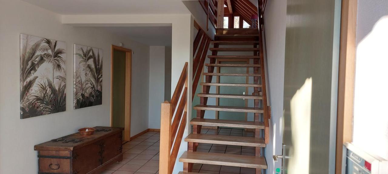 La Canopee Alsacienne - Magnifique Maison A Ribeauville Ngoại thất bức ảnh